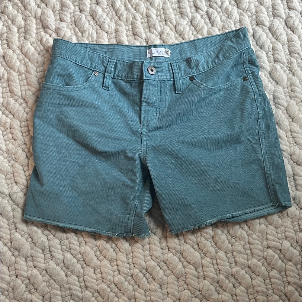 Carve Designs Teal Green Women's Shorts